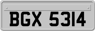 BGX5314