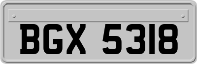 BGX5318
