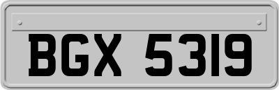 BGX5319