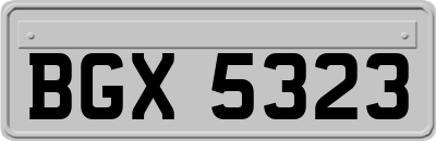 BGX5323