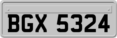 BGX5324