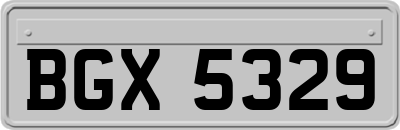BGX5329