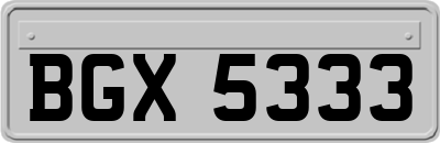 BGX5333
