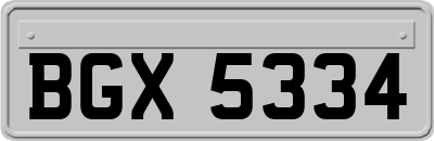 BGX5334