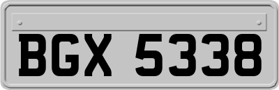 BGX5338