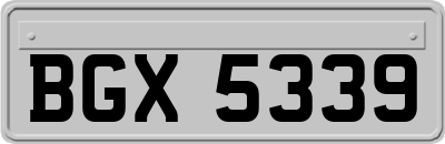 BGX5339