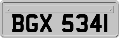 BGX5341