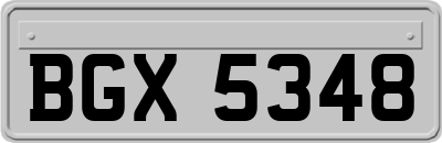 BGX5348
