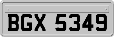BGX5349