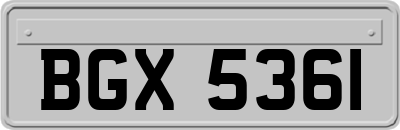 BGX5361