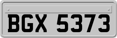 BGX5373