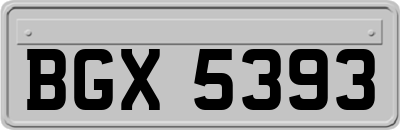 BGX5393