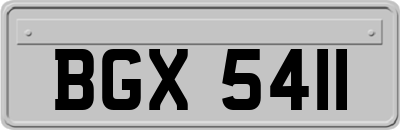 BGX5411