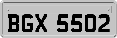 BGX5502