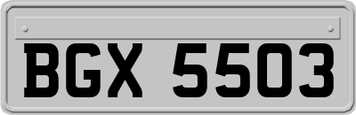 BGX5503