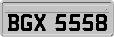 BGX5558