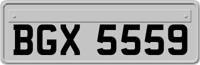 BGX5559