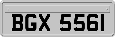 BGX5561