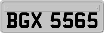 BGX5565