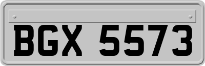 BGX5573