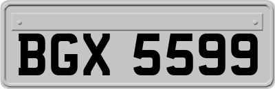 BGX5599