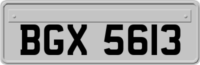 BGX5613