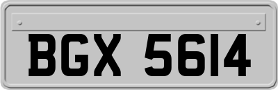 BGX5614