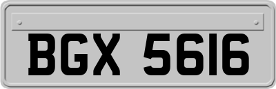 BGX5616