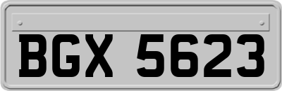 BGX5623