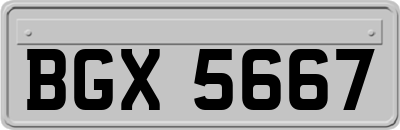 BGX5667