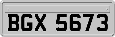 BGX5673