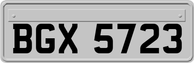 BGX5723