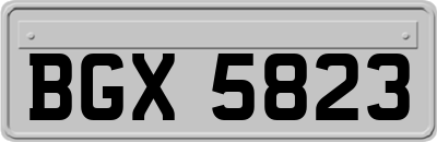 BGX5823