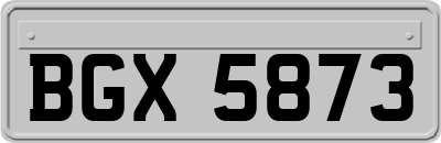 BGX5873