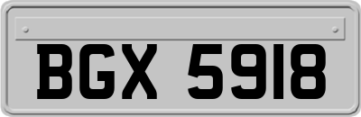 BGX5918