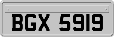 BGX5919