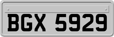 BGX5929