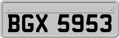 BGX5953