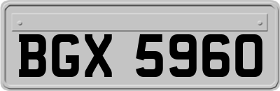 BGX5960