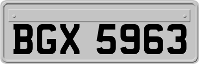 BGX5963