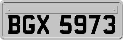 BGX5973