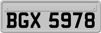 BGX5978
