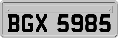 BGX5985