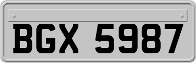 BGX5987