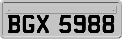 BGX5988