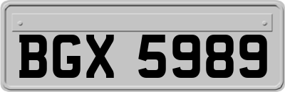BGX5989