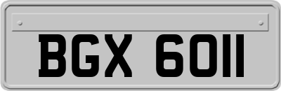 BGX6011