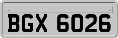 BGX6026