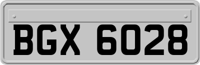 BGX6028