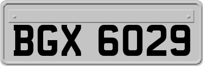 BGX6029